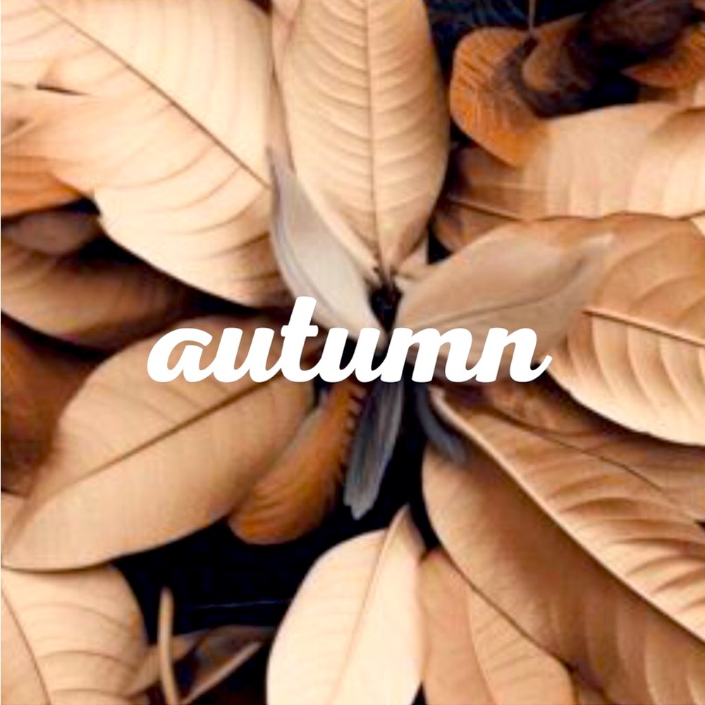 happy fall - Picture 1 of 1